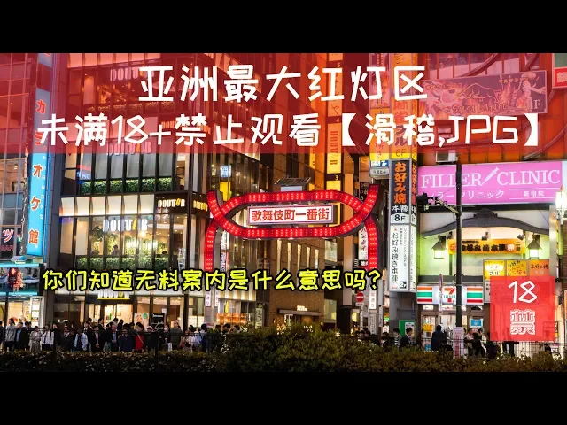 亚洲最大的红灯区东京歌舞伎町 日本旅行 vlog d